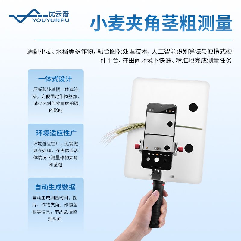 小麥表型檢測系統