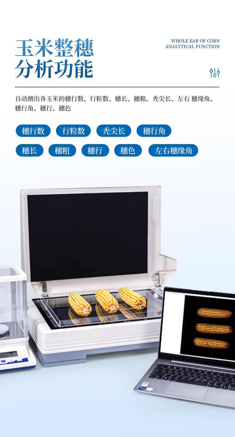 詳情_(kāi)05_790x1471